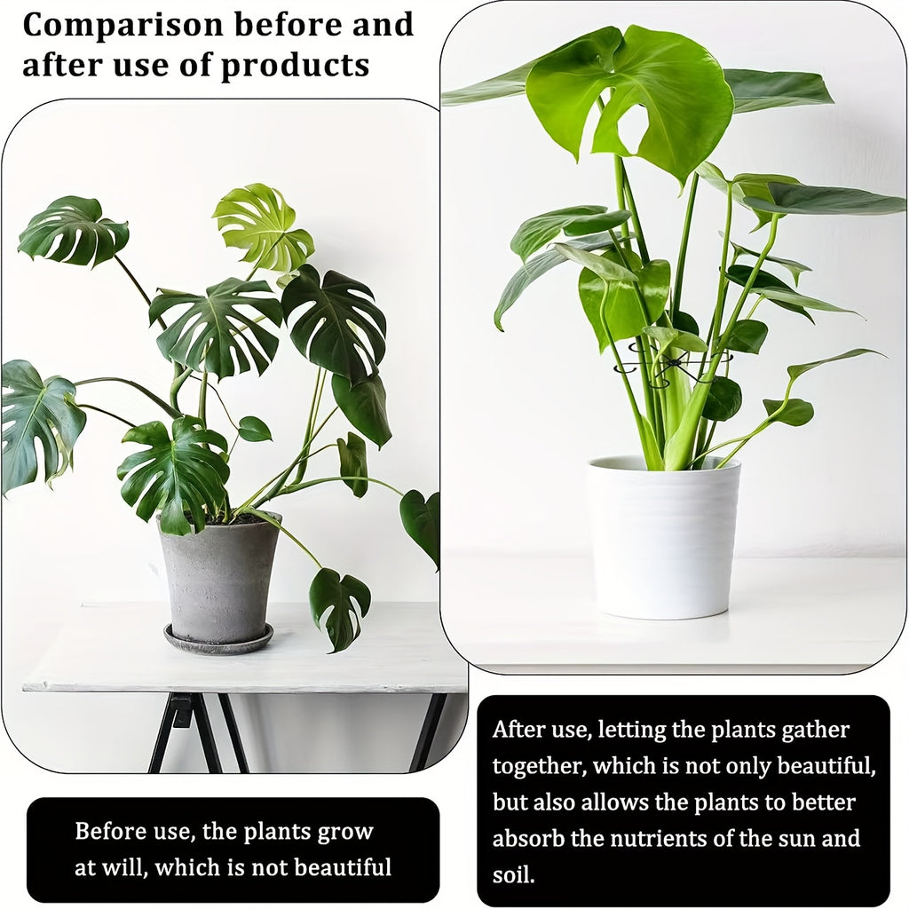 8pcs turtle bamboo holder support anti fall frame spring