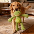 pet tear resistant   interactive   dental toy