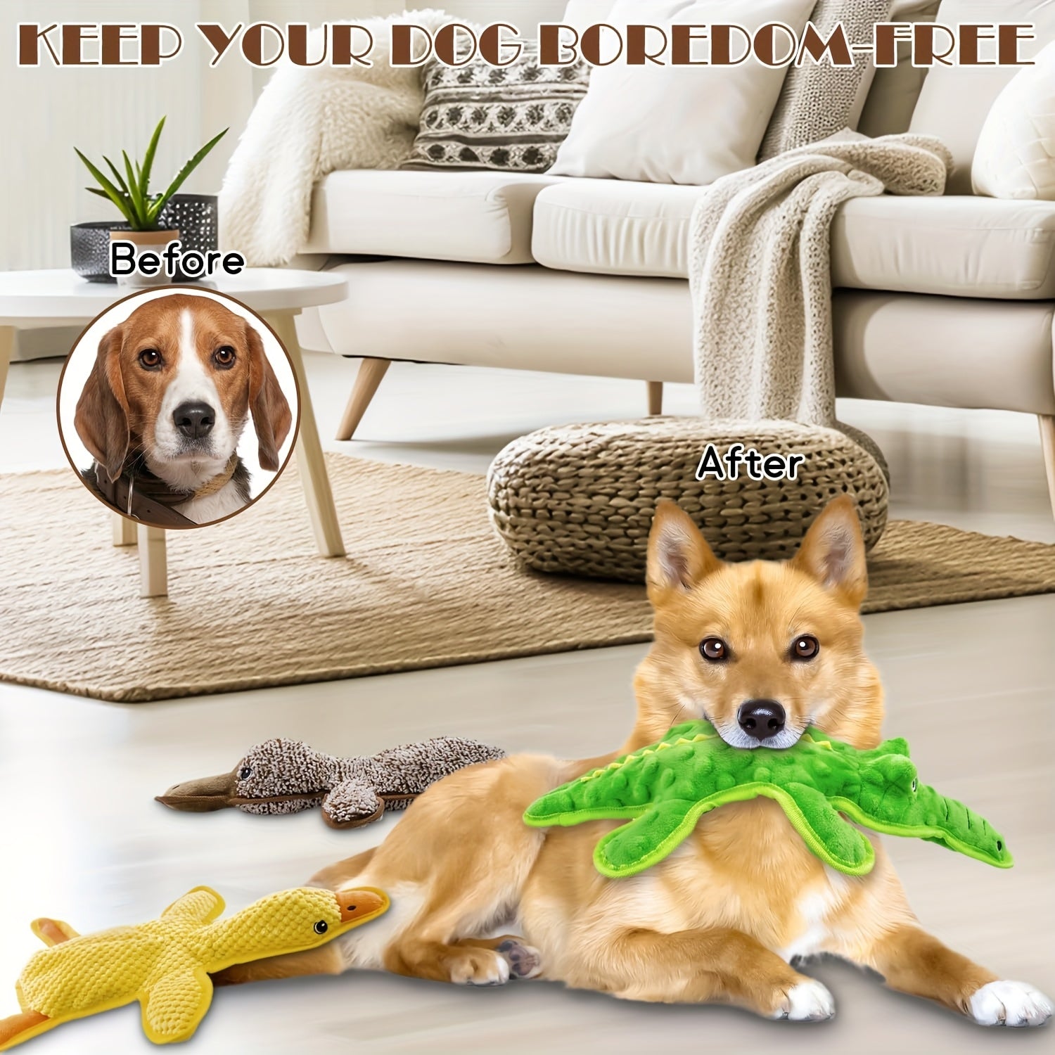 3pcs durable squeaky dog chew toys no stuffing interactive